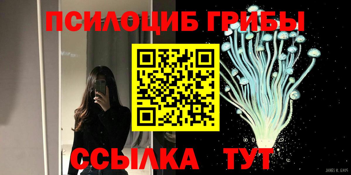 Псилоцибиновые грибы Psilocybe Обнинск