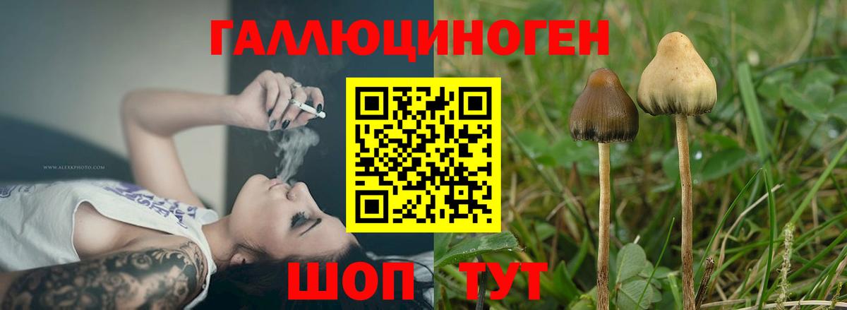 Обнинск  Псилоцибиновые грибы Cubensis  Вход с VPN 